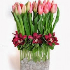 Seller Image